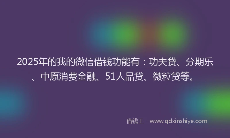 2025年的我的微信借钱功能有：功夫贷、分期乐、中原消费金融、51人品贷、微粒贷等。