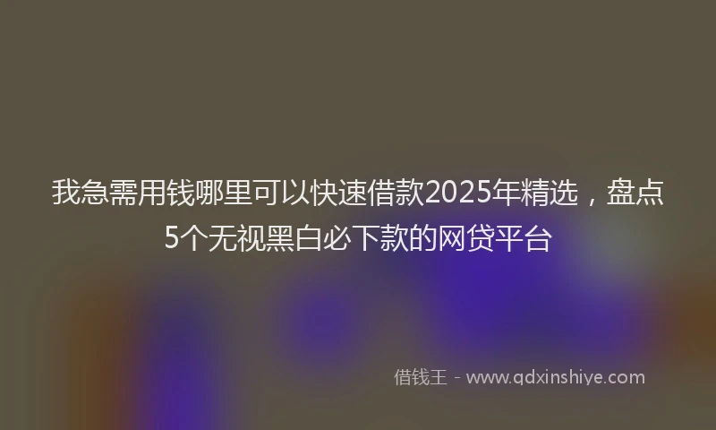 我急需用钱哪里可以快速借款2025年精选，盘点5个无视黑白必下款的网贷平台