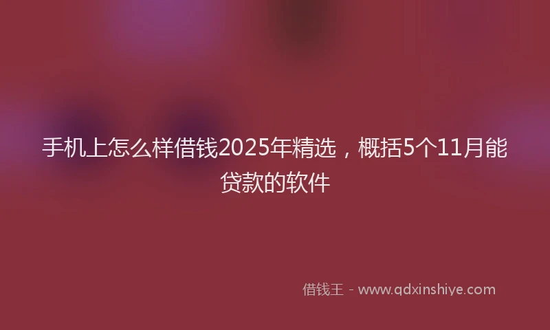 手机上怎么样借钱2025年精选，概括5个11月能贷款的软件