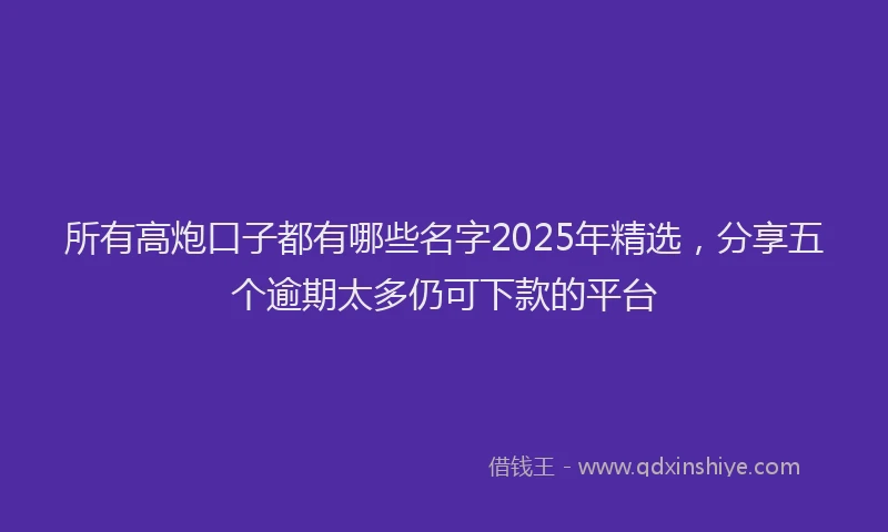 所有高炮口子都有哪些名字2025年精选，分享五个逾期太多仍可下款的平台