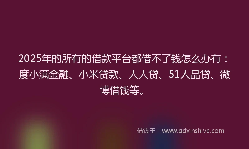 2025年的所有的借款平台都借不了钱怎么办有：度小满金融、小米贷款、人人贷、51人品贷、微博借钱等。