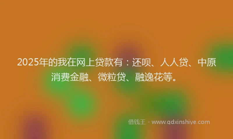 2025年的我在网上贷款有：还呗、人人贷、中原消费金融、微粒贷、融逸花等。