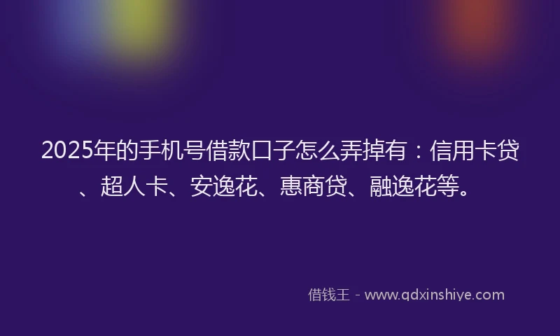 2025年的手机号借款口子怎么弄掉有：信用卡贷、超人卡、安逸花、惠商贷、融逸花等。