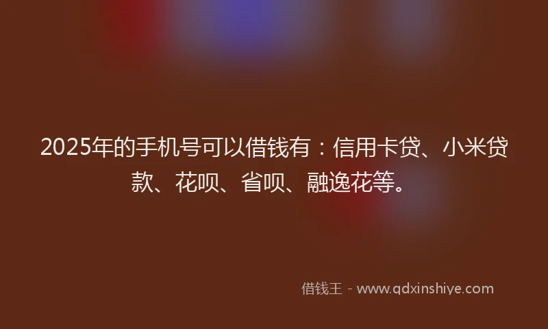 2025年的手机号可以借钱有：信用卡贷、小米贷款、花呗、省呗、融逸花等。