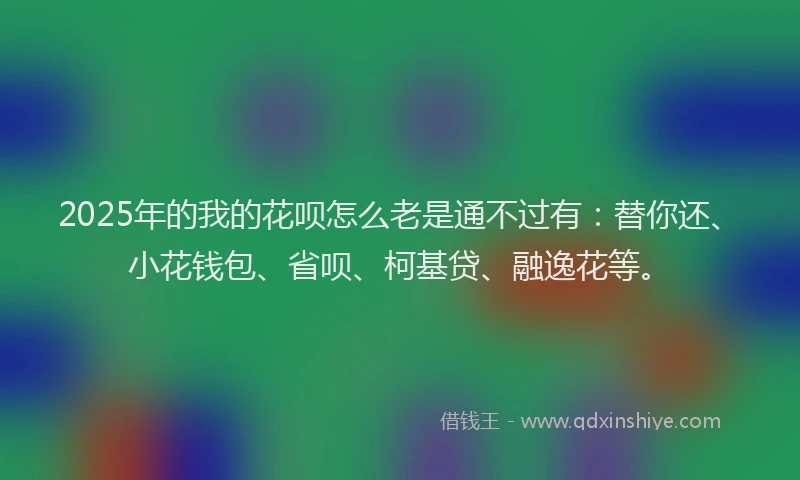 2025年的我的花呗怎么老是通不过有：替你还、小花钱包、省呗、柯基贷、融逸花等。