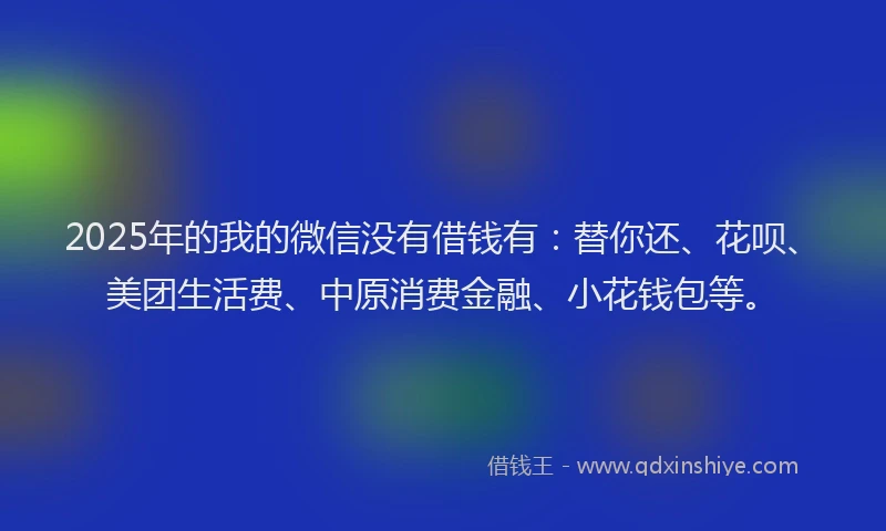 2025年的我的微信没有借钱有：替你还、花呗、美团生活费、中原消费金融、小花钱包等。