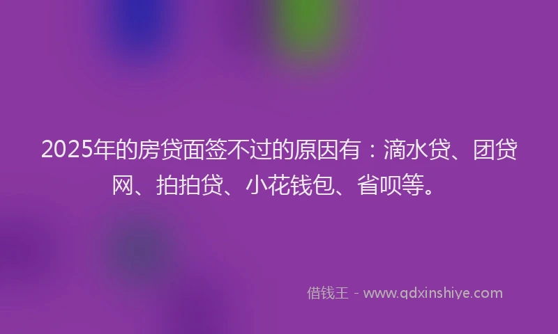 2025年的房贷面签不过的原因有：滴水贷、团贷网、拍拍贷、小花钱包、省呗等。