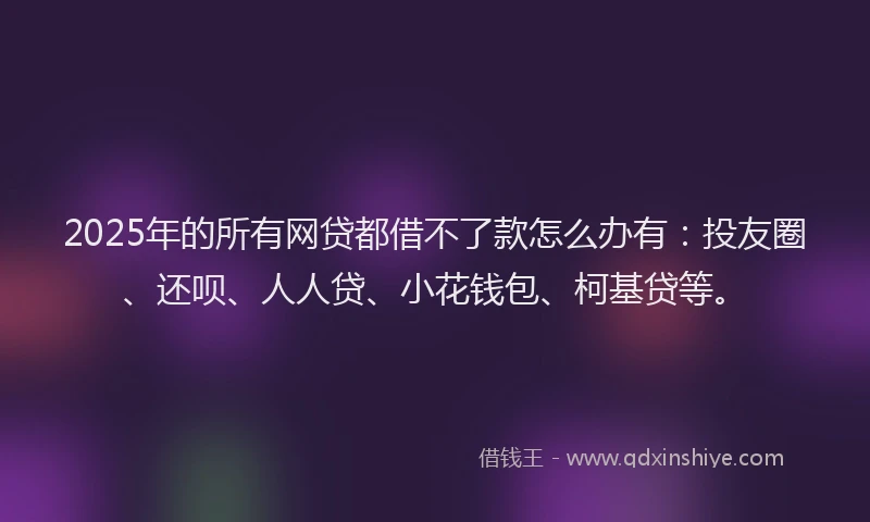 2025年的所有网贷都借不了款怎么办有：投友圈、还呗、人人贷、小花钱包、柯基贷等。