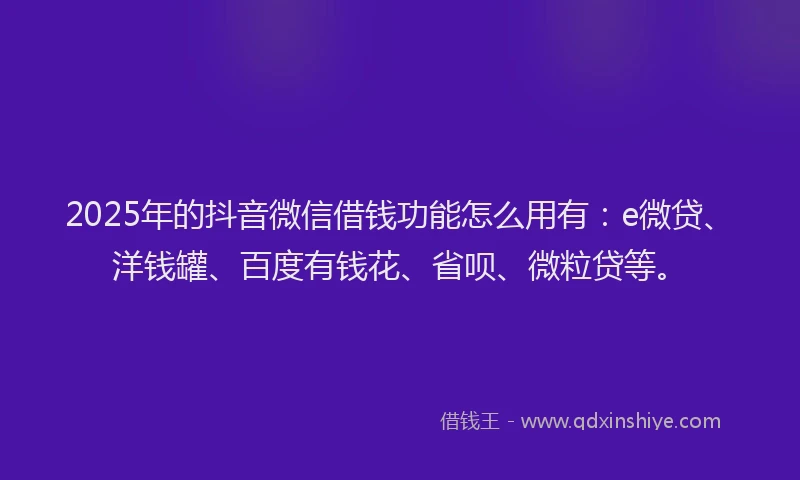 2025年的抖音微信借钱功能怎么用有：e微贷、洋钱罐、百度有钱花、省呗、微粒贷等。