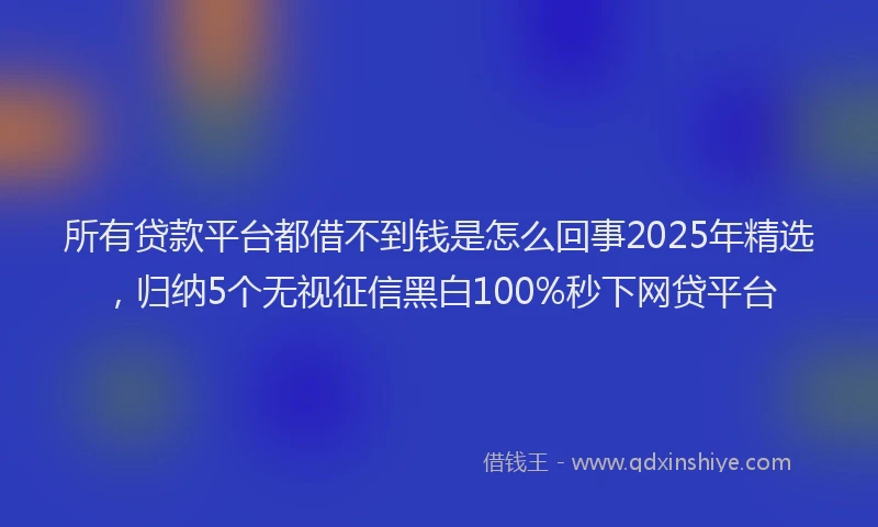 所有贷款平台都借不到钱是怎么回事2025年精选，归纳5个无视征信黑白100%秒下网贷平台