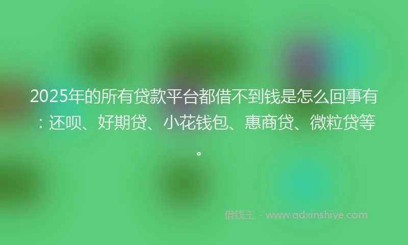2025年的所有贷款平台都借不到钱是怎么回事有：还呗、好期贷、小花钱包、惠商贷、微粒贷等。
