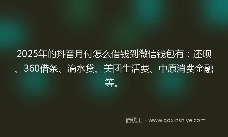 2025年的抖音月付怎么借钱到微信钱包有：还呗、360借条、滴水贷、美团生活费、中原消费金融等。
