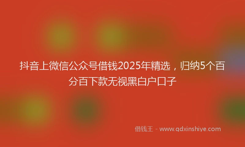 抖音上微信公众号借钱2025年精选，归纳5个百分百下款无视黑白户口子
