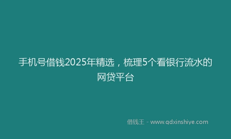 手机号借钱2025年精选，梳理5个看银行流水的网贷平台