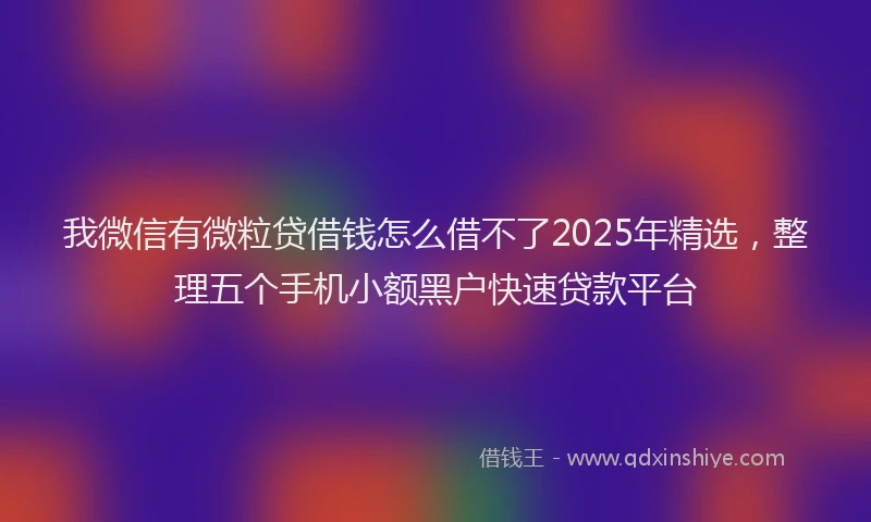 我微信有微粒贷借钱怎么借不了2025年精选，整理五个手机小额黑户快速贷款平台