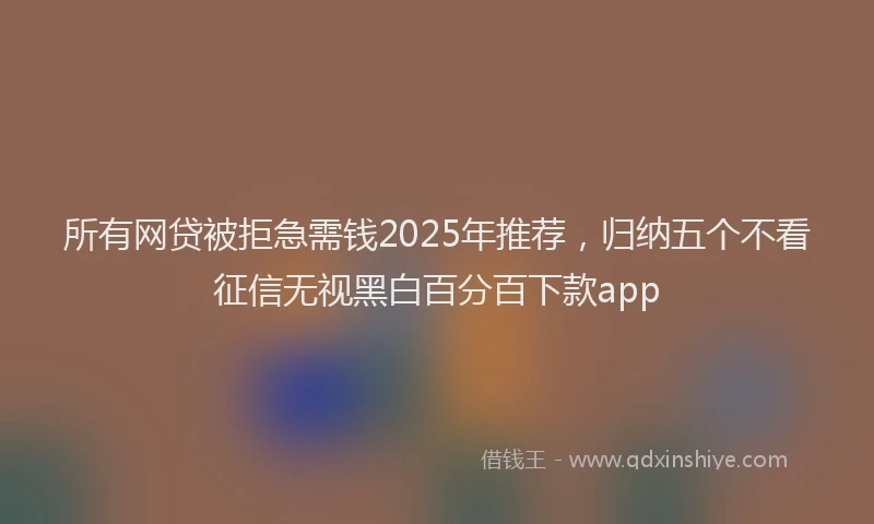 所有网贷被拒急需钱2025年推荐，归纳五个不看征信无视黑白百分百下款app
