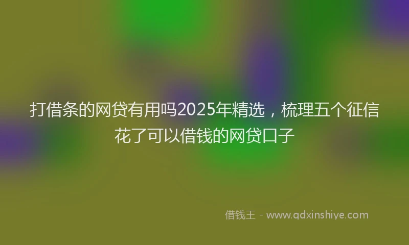 打借条的网贷有用吗2025年精选，梳理五个征信花了可以借钱的网贷口子