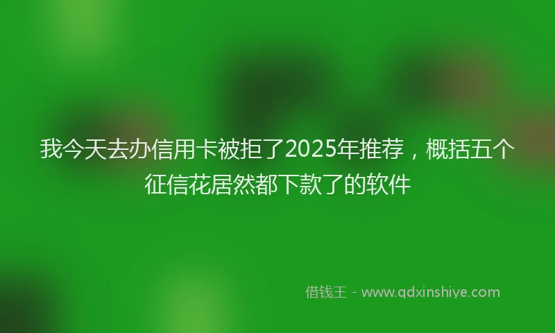 我今天去办信用卡被拒了2025年推荐，概括五个征信花居然都下款了的软件