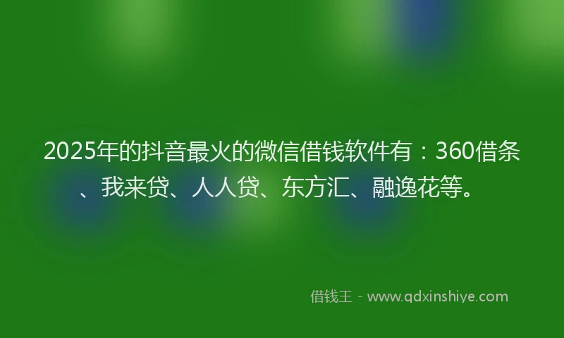 2025年的抖音最火的微信借钱软件有：360借条、我来贷、人人贷、东方汇、融逸花等。