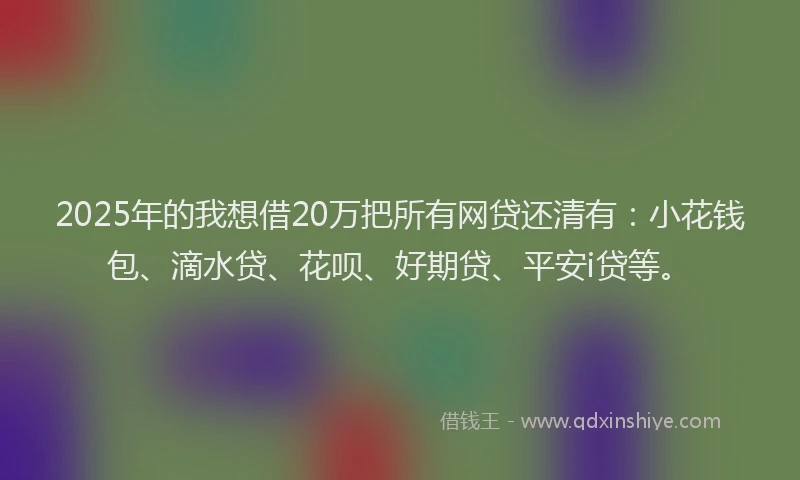 2025年的我想借20万把所有网贷还清有：小花钱包、滴水贷、花呗、好期贷、平安i贷等。