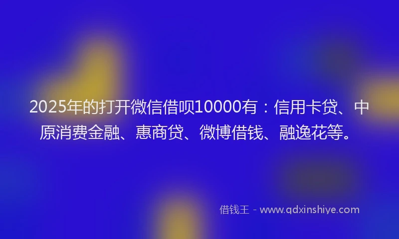2025年的打开微信借呗10000有:信用卡贷、中原消费金融、惠商贷、微博借钱、融逸花等。