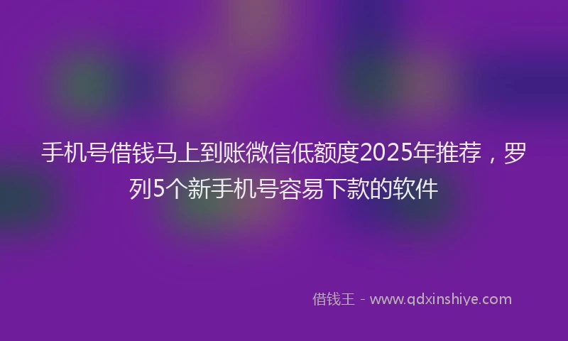 手机号借钱马上到账微信低额度2025年推荐，罗列5个新手机号容易下款的软件