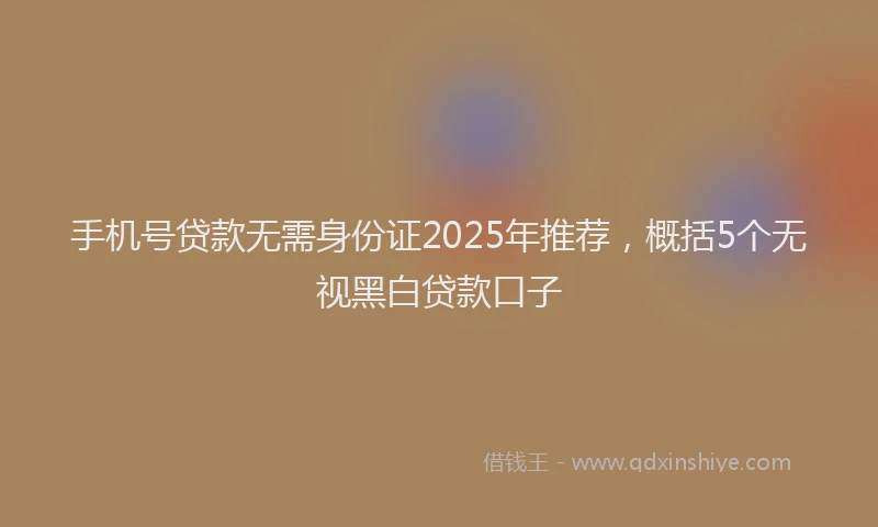 手机号贷款无需身份证2025年推荐，概括5个无视黑白贷款口子