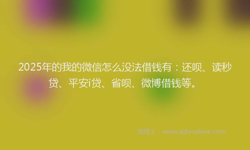 2025年的我的微信怎么没法借钱有：还呗、读秒贷、平安i贷、省呗、微博借钱等。