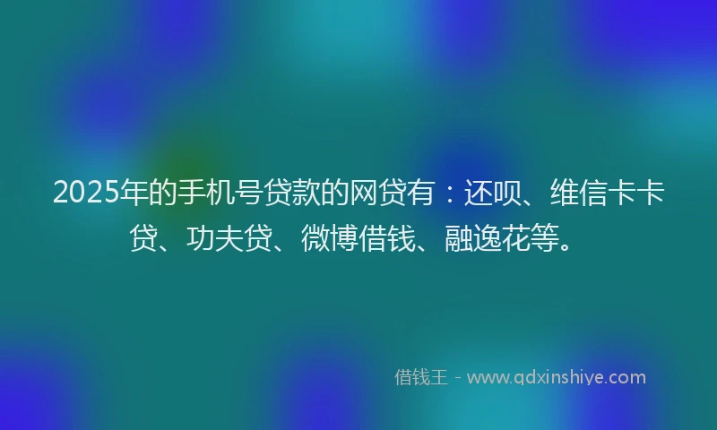 2025年的手机号贷款的网贷有：还呗、维信卡卡贷、功夫贷、微博借钱、融逸花等。