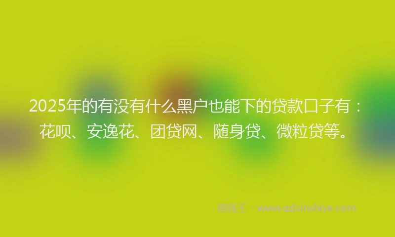 2025年的有没有什么黑户也能下的贷款口子有：花呗、安逸花、团贷网、随身贷、微粒贷等。