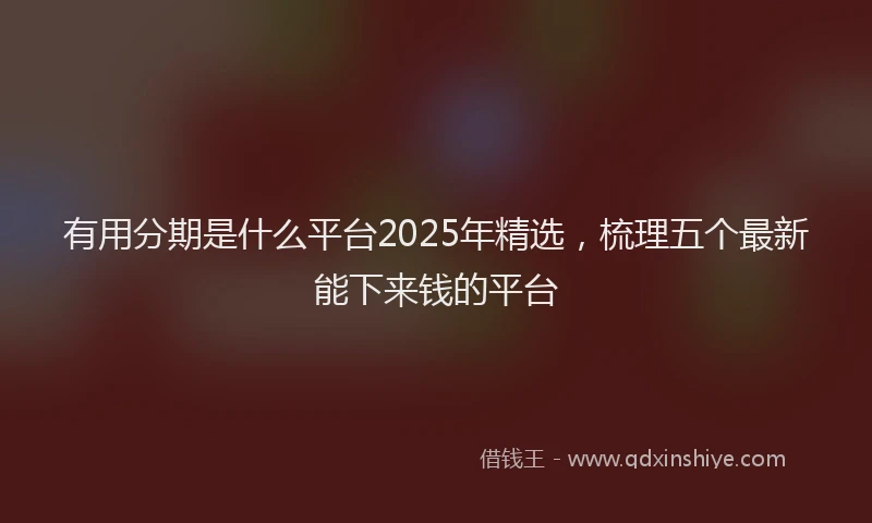 有用分期是什么平台2025年精选，梳理五个最新能下来钱的平台