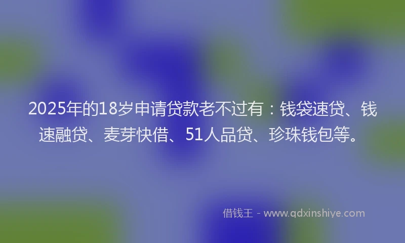 2025年的18岁申请贷款老不过有：钱袋速贷、钱速融贷、麦芽快借、51人品贷、珍珠钱包等。