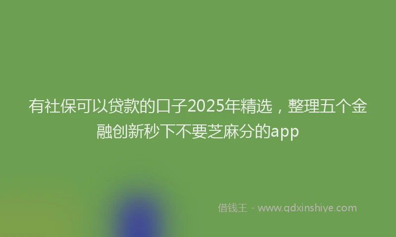 有社保可以贷款的口子2025年精选，整理五个金融创新秒下不要芝麻分的app