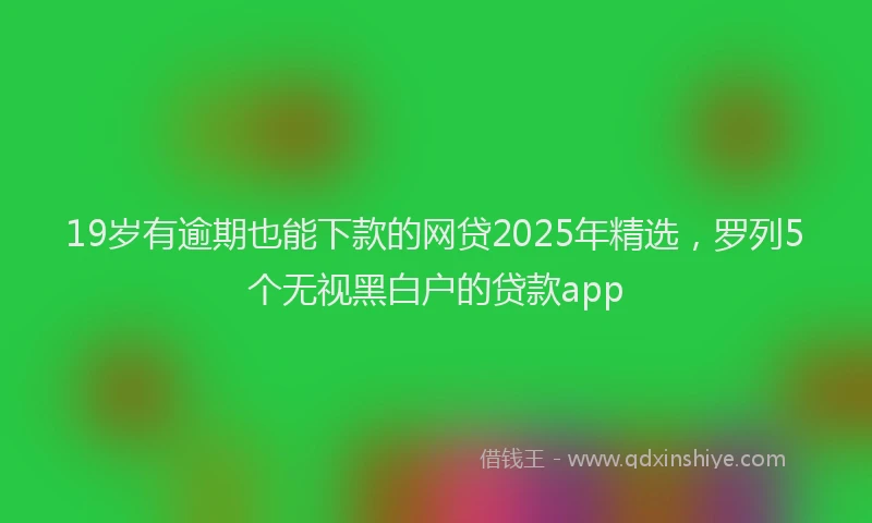 19岁有逾期也能下款的网贷2025年精选，罗列5个无视黑白户的贷款app