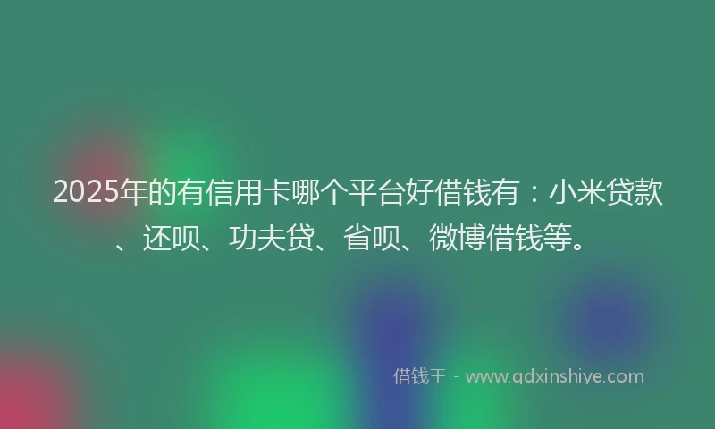 2025年的有信用卡哪个平台好借钱有：小米贷款、还呗、功夫贷、省呗、微博借钱等。