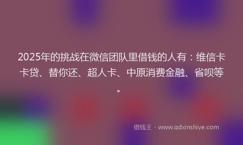2025年的挑战在微信团队里借钱的人有：维信卡卡贷、替你还、超人卡、中原消费金融、省呗等。
