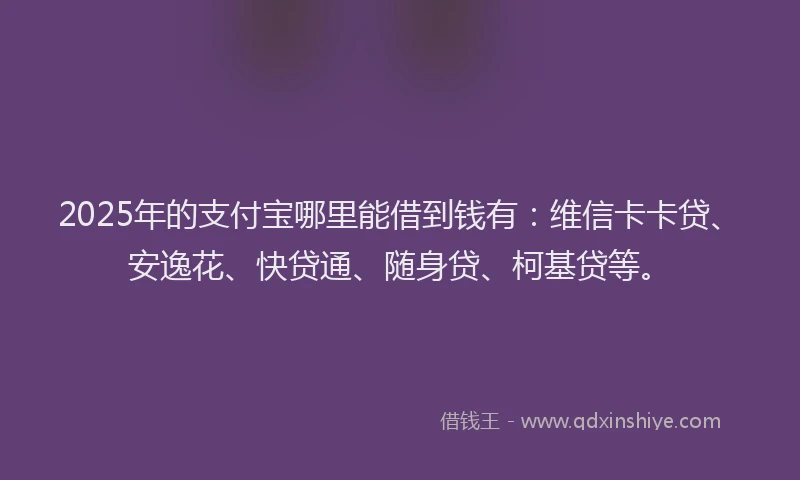 2025年的支付宝哪里能借到钱有：维信卡卡贷、安逸花、快贷通、随身贷、柯基贷等。