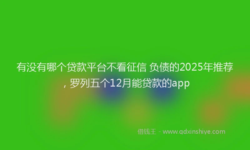 有没有哪个贷款平台不看征信 负债的2025年推荐，罗列五个12月能贷款的app