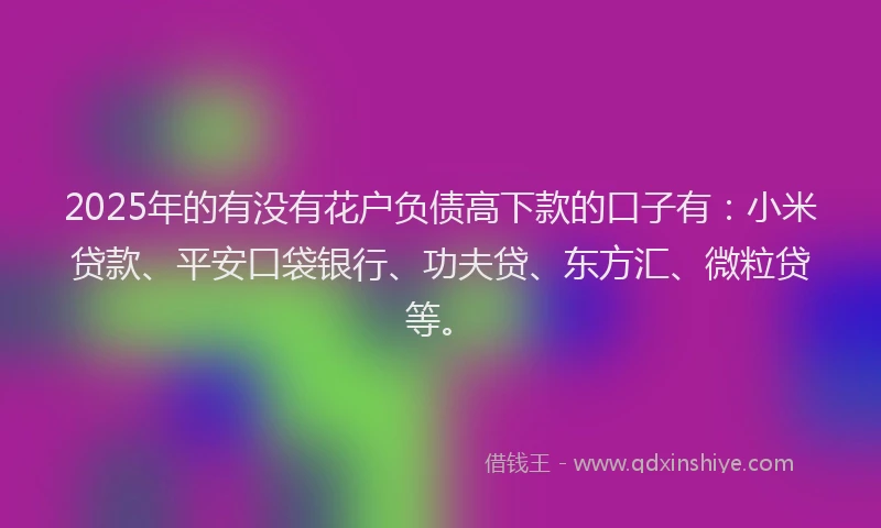 2025年的有没有花户负债高下款的口子有：小米贷款、平安口袋银行、功夫贷、东方汇、微粒贷等。