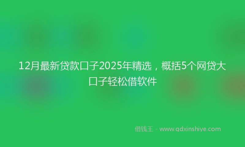 12月最新贷款口子2025年精选，概括5个网贷大口子轻松借软件