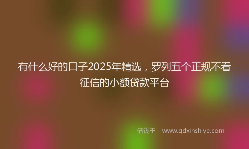 有什么好的口子2025年精选，罗列五个正规不看征信的小额贷款平台