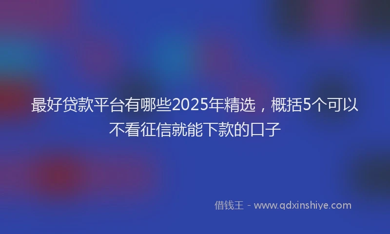 最好贷款平台有哪些2025年精选，概括5个可以不看征信就能下款的口子