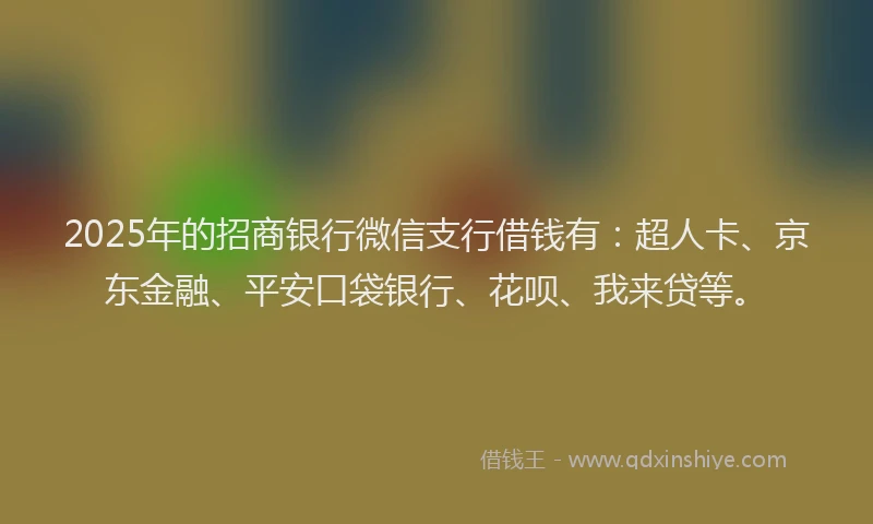 2025年的招商银行微信支行借钱有：超人卡、京东金融、平安口袋银行、花呗、我来贷等。