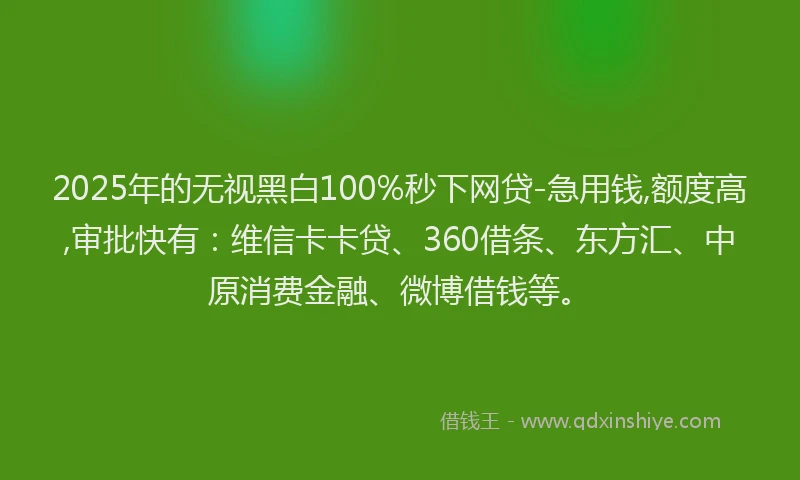 2025年的无视黑白100%秒下网贷-急用钱,额度高,审批快有：维信卡卡贷、360借条、东方汇、中原消费金融、微博借钱等。