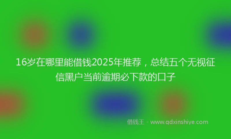 16岁在哪里能借钱2025年推荐，总结五个无视征信黑户当前逾期必下款的口子