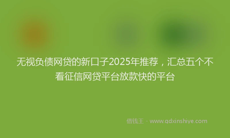 无视负债网贷的新口子2025年推荐，汇总五个不看征信网贷平台放款快的平台