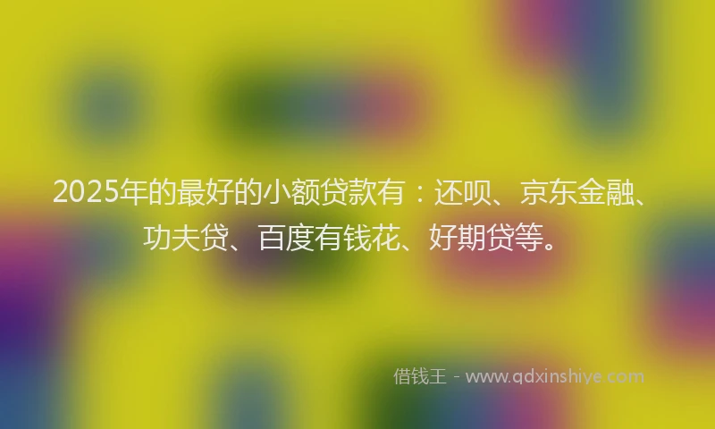 2025年的最好的小额贷款有：还呗、京东金融、功夫贷、百度有钱花、好期贷等。