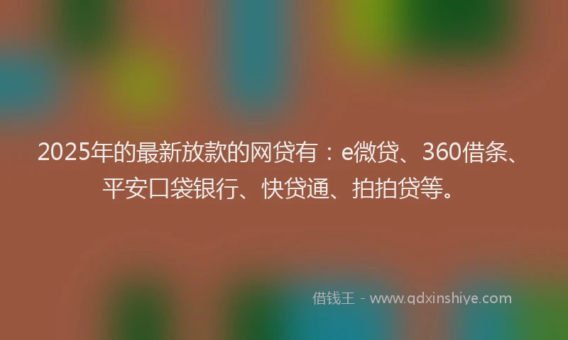 2025年的最新放款的网贷有：e微贷、360借条、平安口袋银行、快贷通、拍拍贷等。