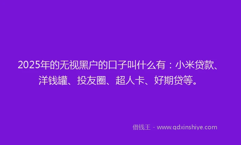 2025年的无视黑户的口子叫什么有：小米贷款、洋钱罐、投友圈、超人卡、好期贷等。