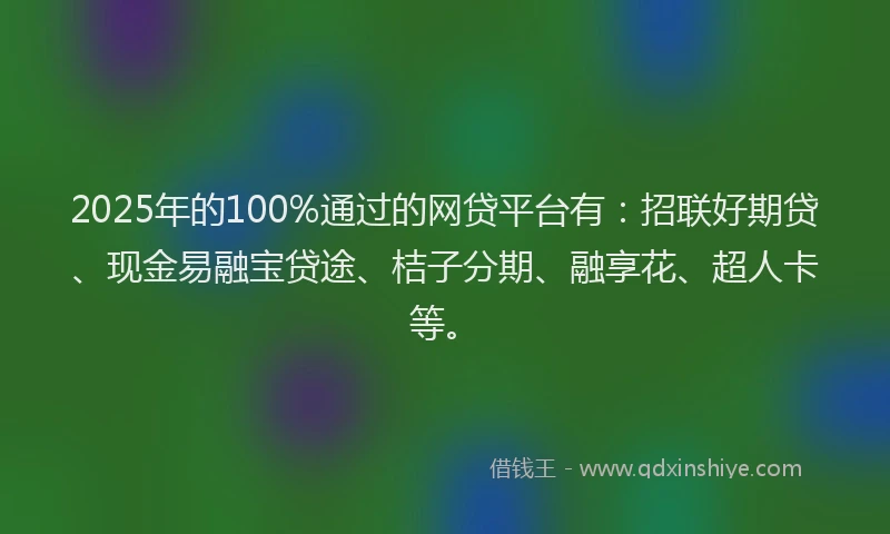 2025年的100%通过的网贷平台有：招联好期贷、现金易融宝贷途、桔子分期、融享花、超人卡等。
